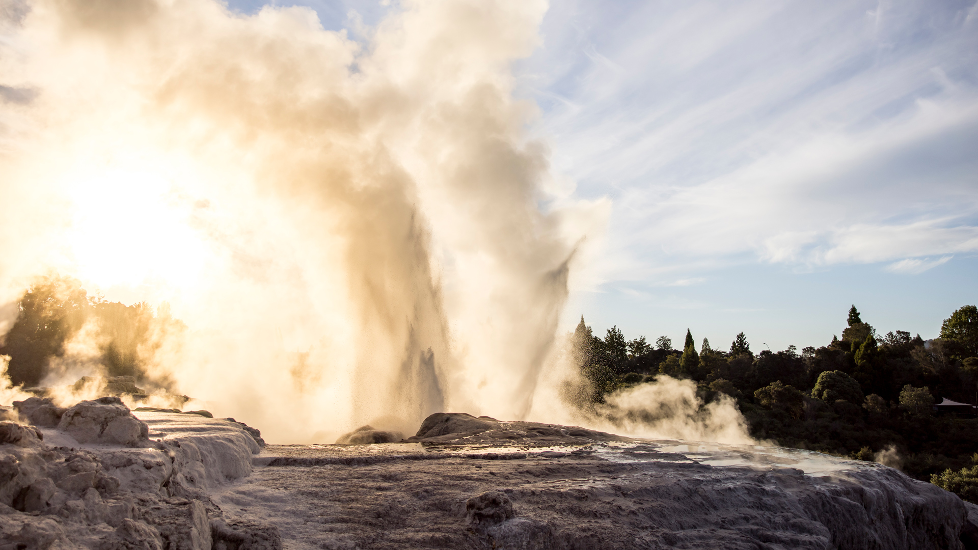 A geyser at Rotorua
