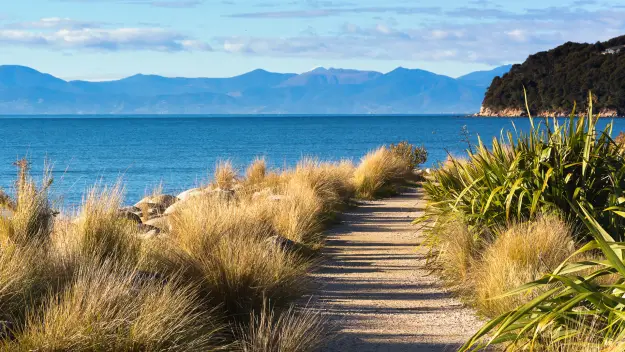 A waterfront section of trail at Abel Tasman National Park