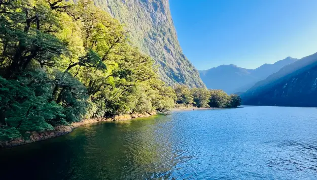 Doubtful Sound in the morning light