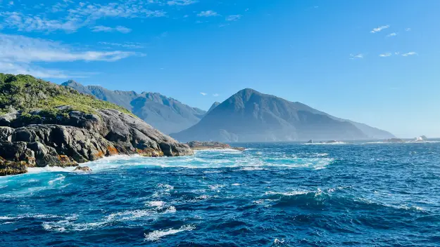 Where Doubtful Sound meets the ocean