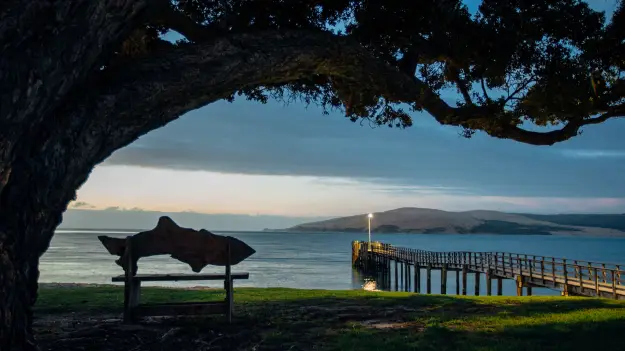 Hokianga Harbour pier