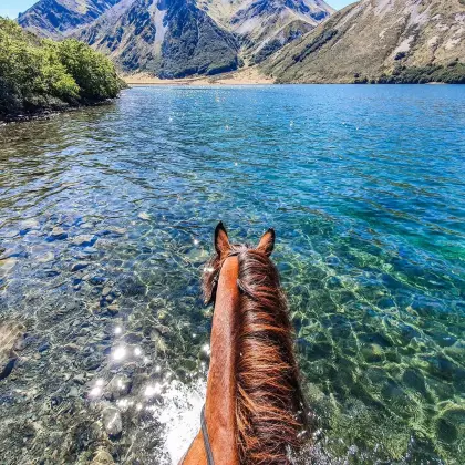 Horseback on the trails and through the water