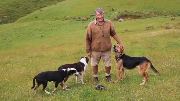 A sheep farmer, John Hodgson, and his dogs