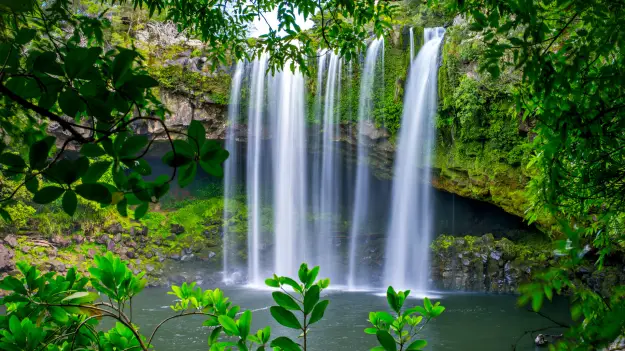 Rainbow Falls in Kerikeri