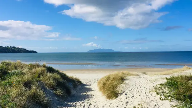 The beach at Matakana