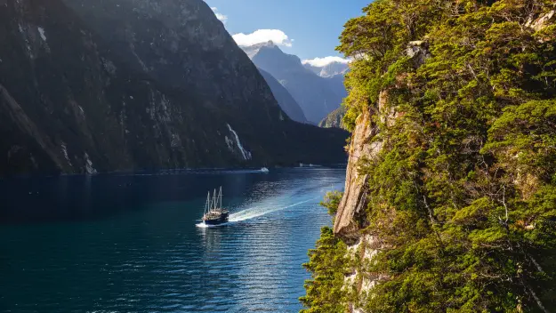 Milford Sound excursion