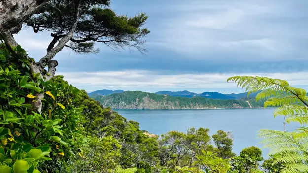 On the path at Motuara Island