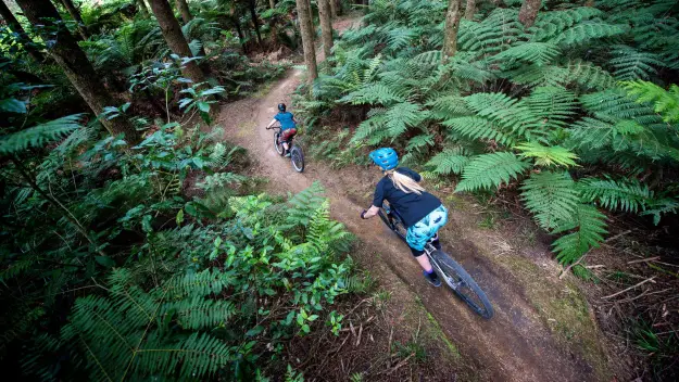 Mountain biking a New Zealand trail