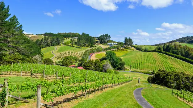 Paroa Bay Winery