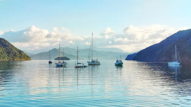 Picton harbour