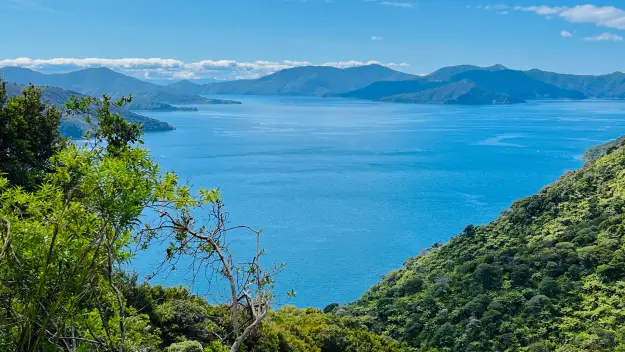 The beautiful Queen Charlotte track