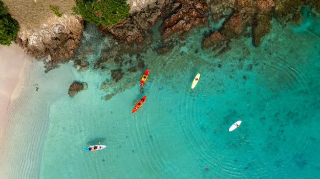 Kayaking and SUP boarding in the Bay of Islands