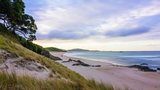 A beautiful beach near Whangerei